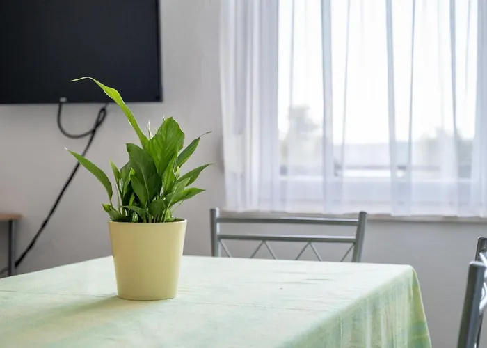 Mimi בית הארחה טרוגיר