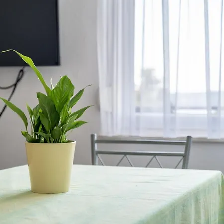 Mimi בית הארחה טרוגיר